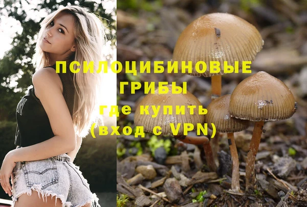 тгк Гусь-Хрустальный