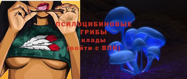 ПСИЛОЦИБИНОВЫЕ ГРИБЫ Алексин
