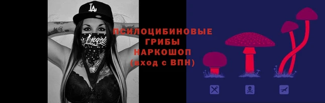 эйфоретик Алексеевка