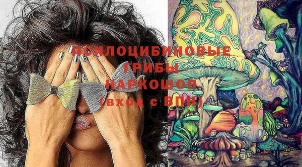 ПСИЛОЦИБИНОВЫЕ ГРИБЫ Алексин