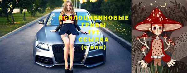 ПСИЛОЦИБИНОВЫЕ ГРИБЫ Алзамай